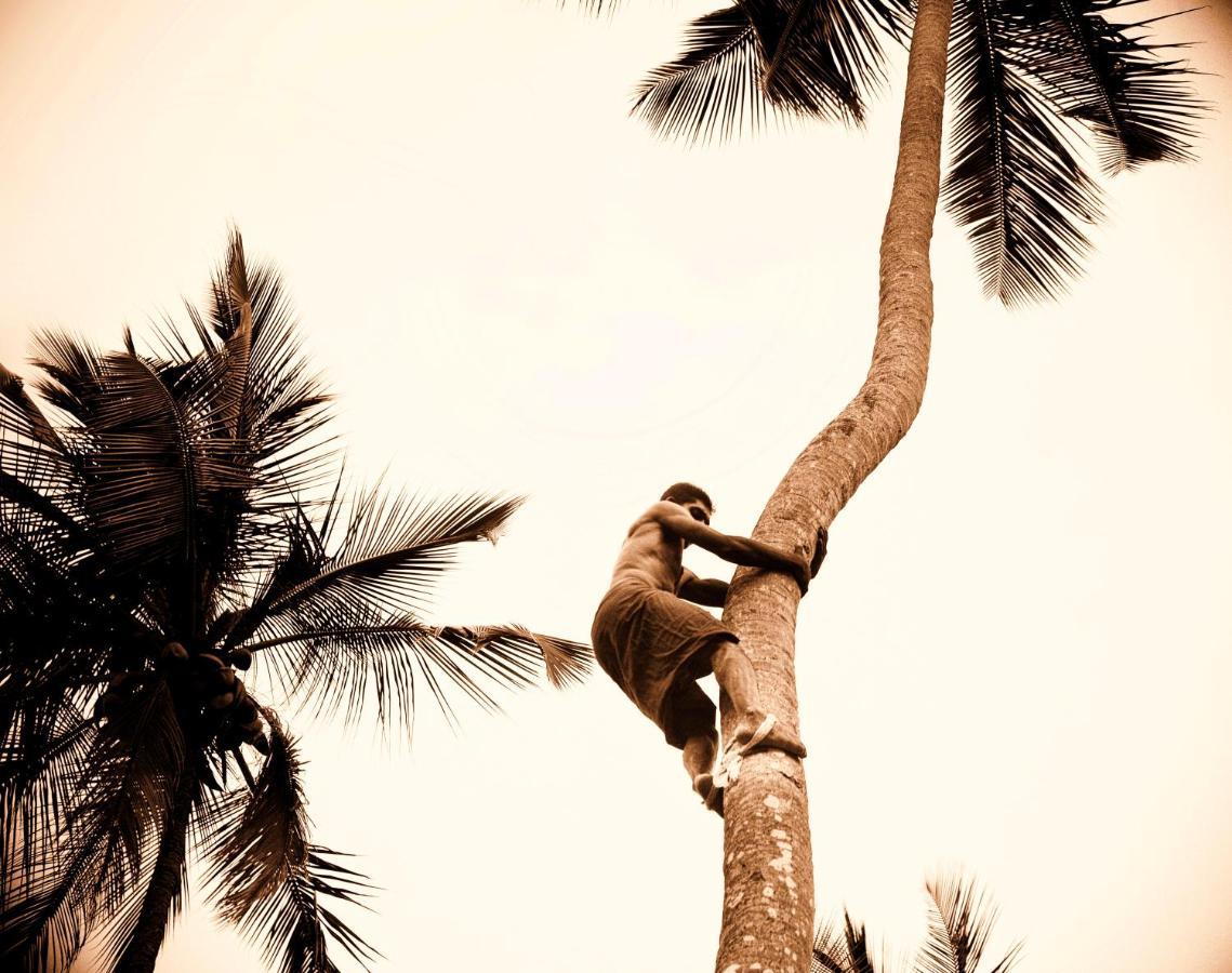 The Flame Tree Estate & Hotel Kandy Luaran gambar